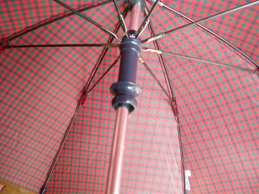 umbrella_R.jpg